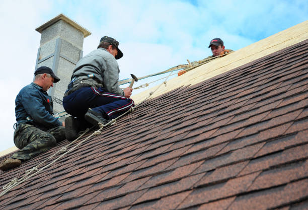 Best Roof Leak Repair  in Haledon, NJ